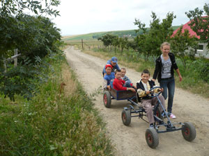 2011-juni-leerling-van-spw-landstede-raalte-met-verstandelijk-gehandicapte-kinderenop-de-kar-bij-de-zorgboerderij.jpg